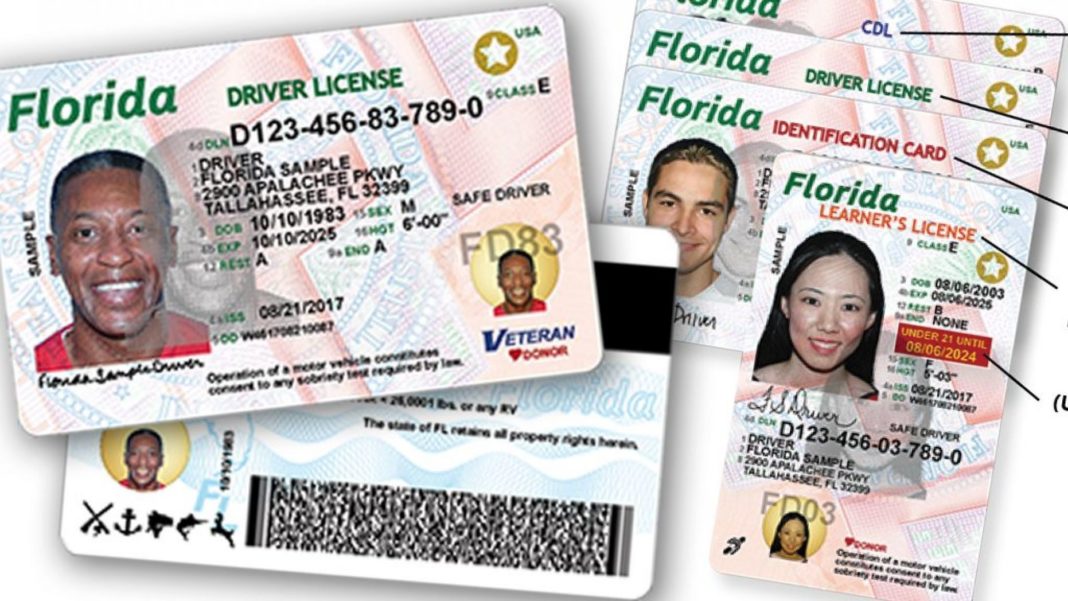 Florida Driving Record FL MVR DrivingRecord